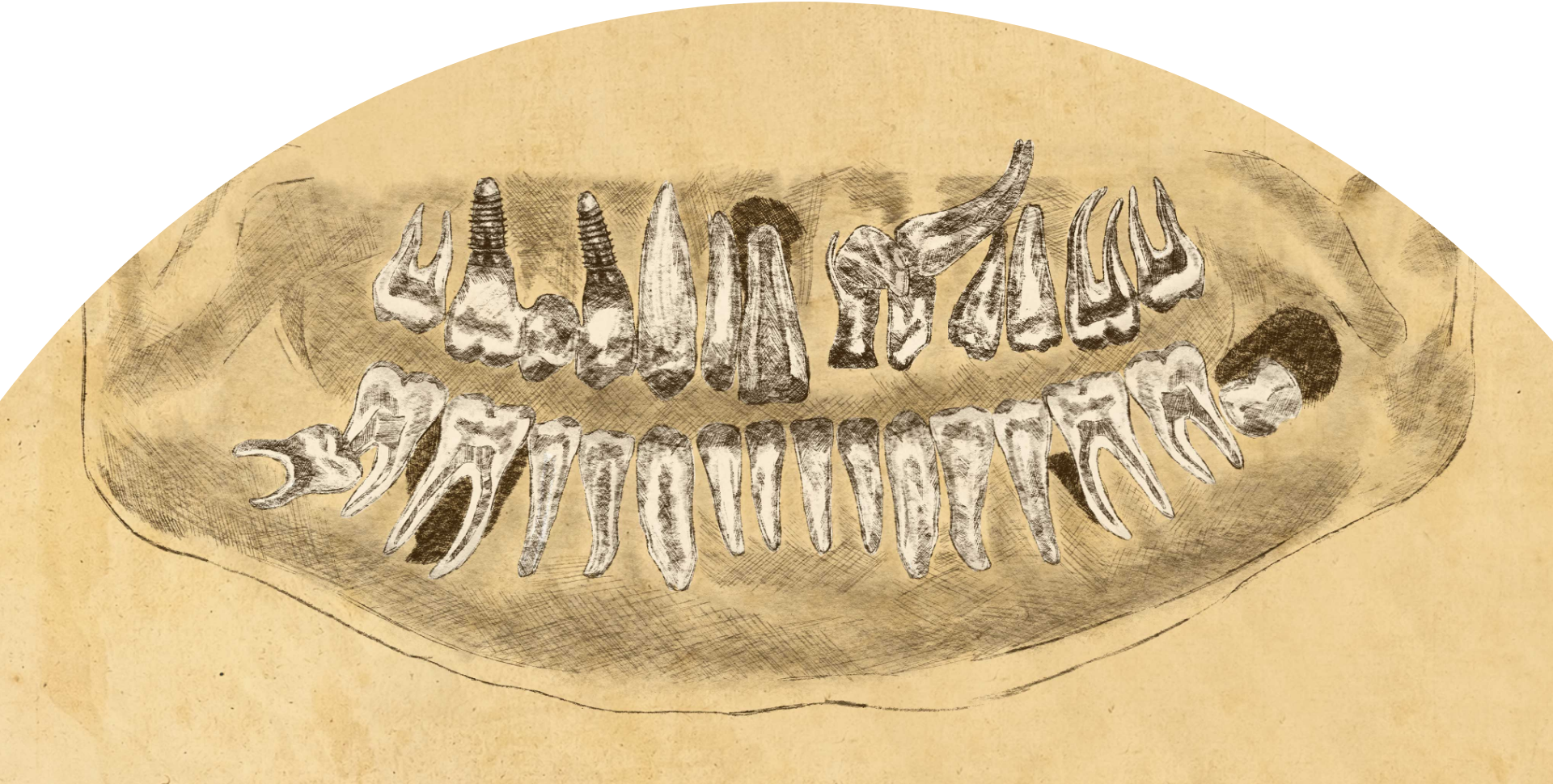 leistungen illustration