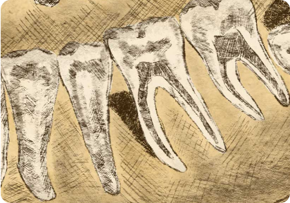 leistungen parodontalchirurgie