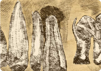 leistungen wurzelspitzenresektion